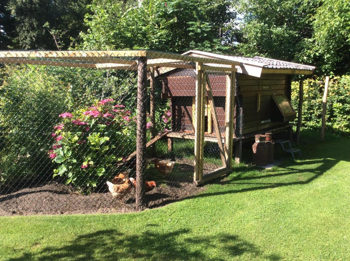 Giethoorn Lodge Εξωτερικό φωτογραφία