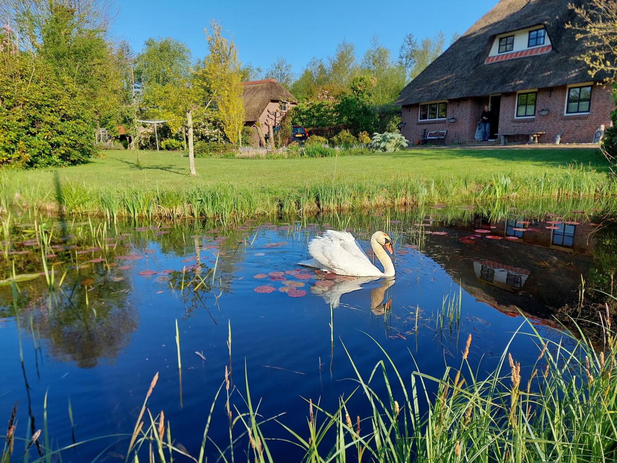 Giethoorn Lodge Εξωτερικό φωτογραφία